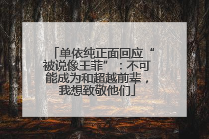 单依纯正面回应“被说像王菲”：不可能成为和超越前辈，我想致敬他们